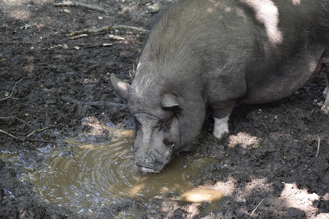 佛罗里达的安布里餐厅 纪念和前老板盖德・穆勒友谊的故事