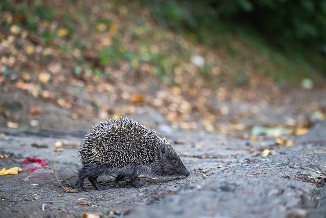 斯洛特：我不担心帅位且得到高层很多支持；失误是团队的问题