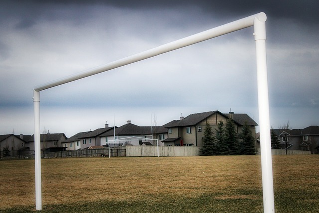 感交织的年 感交织的年