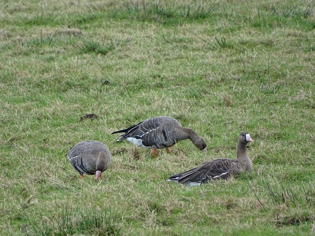 在两队历史 在两队历史