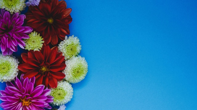 在这一背景 在这一背景