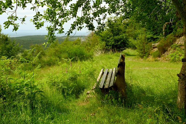 也彰显了中 也彰显了中