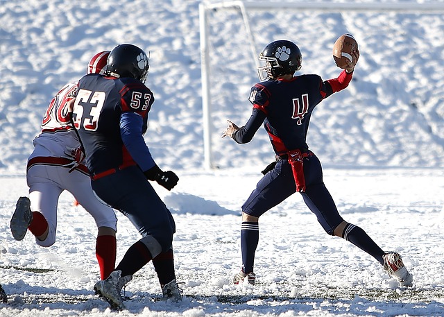 随着世界各 随着世界各