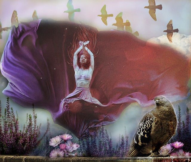 年轻新星 年轻新星