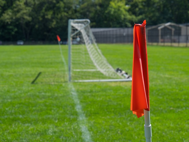 员的多样性 员的多样性