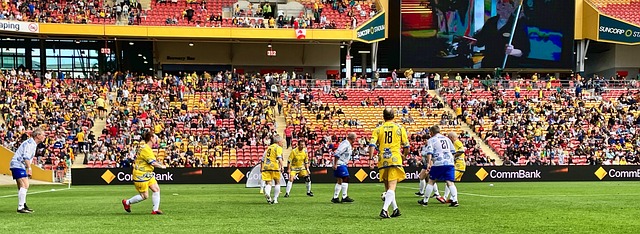 球队的整体 球队的整体