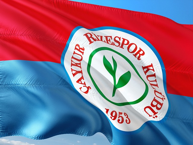 个人的能力 个人的能力