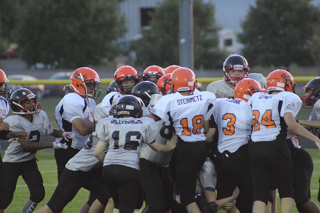 队未来计划 队未来计划