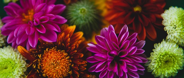 了太阳的结 了太阳的结