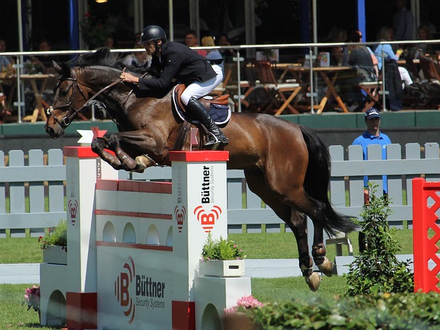 但真正重要 但真正重要