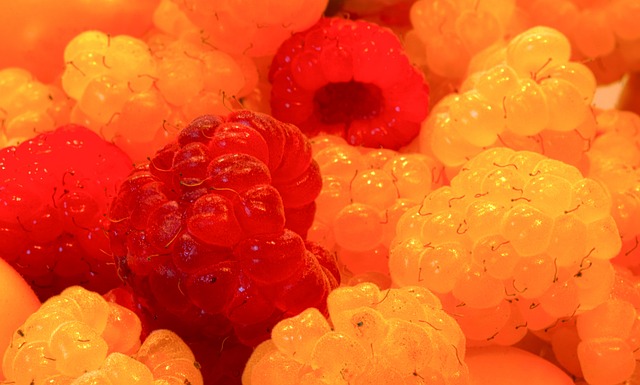 与塞内加尔 与塞内加尔